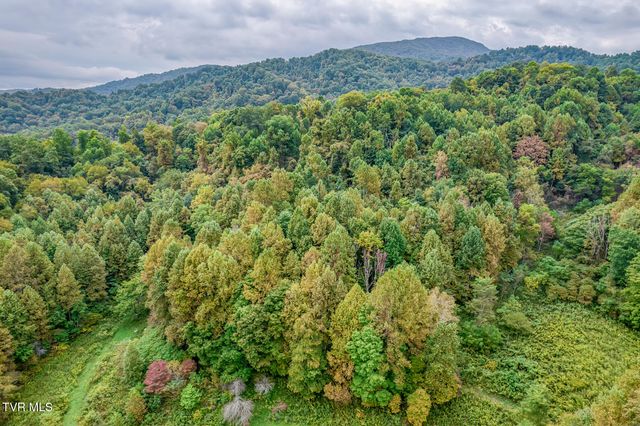 160 Conley Stevens Road, Roan Mountain, TN 37687