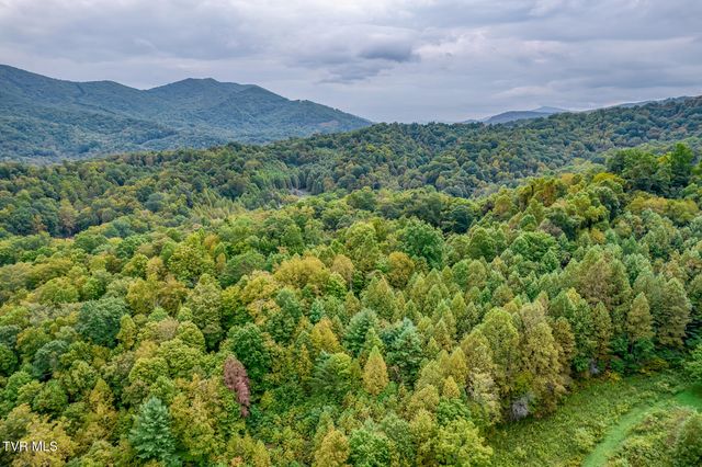 160 Conley Stevens Road, Roan Mountain, TN 37687