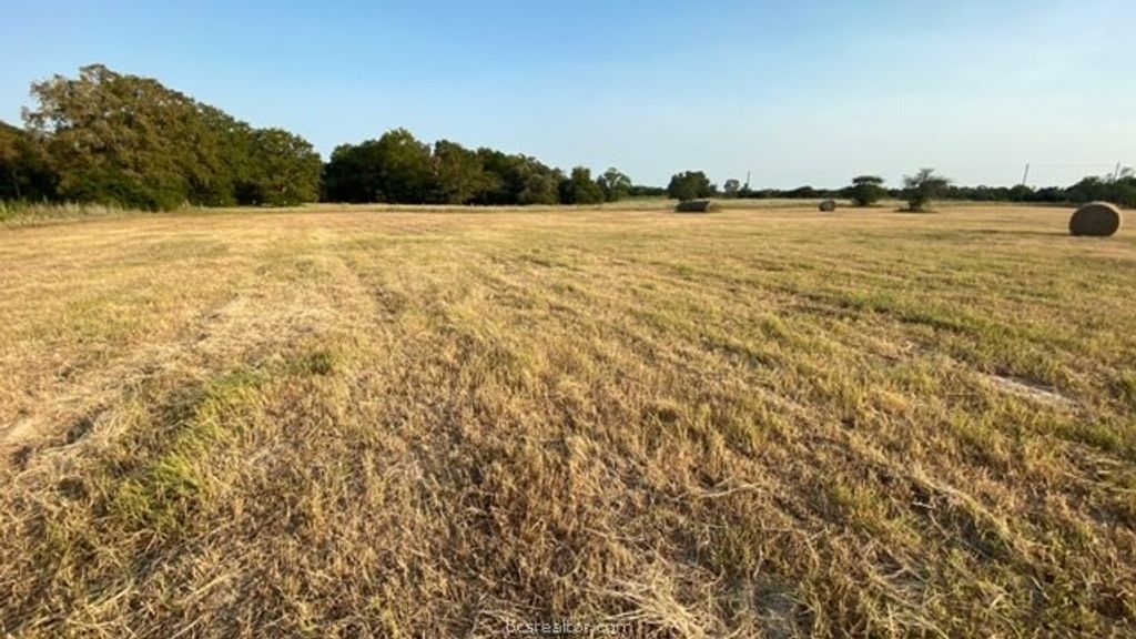 1290 Gun Range Road, Somerville, TX 77879 — exterior
