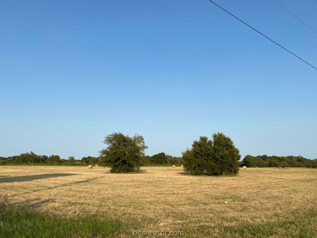 1290 Gun Range Road, Somerville, TX 77879 — photo 5