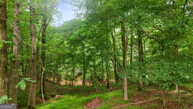 1593 Walkway Court SW, Lilburn, GA 30047