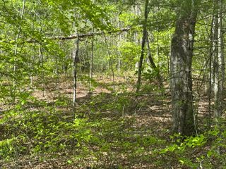0 Dry Hill RD, Ferrum, VA 24088