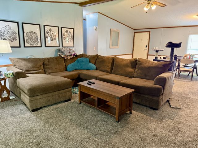 102 Backwoods Dr, Hohenwald, TN 38462