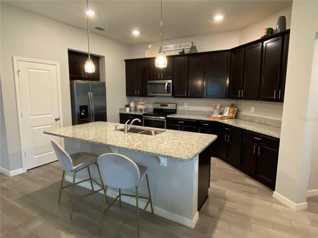 1037 AUGUSTUS DRIVE, Davenport, FL 33896