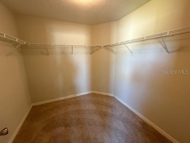 1037 AUGUSTUS DRIVE, Davenport, FL 33896