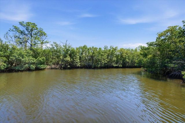 1130 S FLORIDA AVENUE, Tarpon Springs, FL 34689
