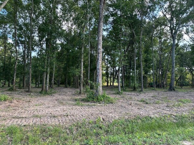 Tract 1-000 TBD Blackburn Dr, Splendora, TX 77372