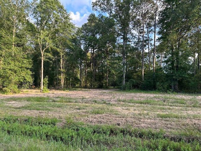 Tract 1-000 TBD Blackburn Dr, Splendora, TX 77372