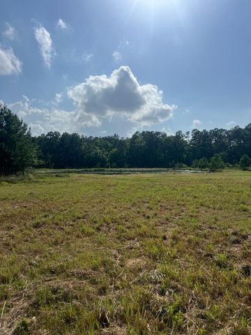 Tract 1-000 TBD Blackburn Dr, Splendora, TX 77372