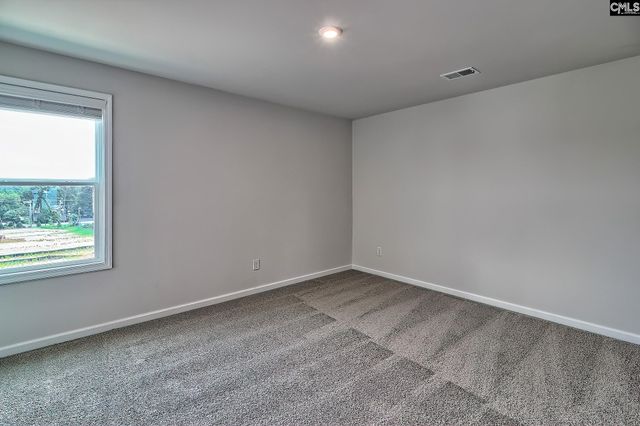 572 Swamp Grass Drive, Columbia, SC 29209