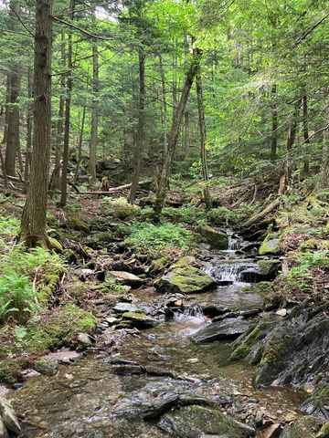 1075 Butternut Hill Rd Unit H2, Waitsfield, VT 05673