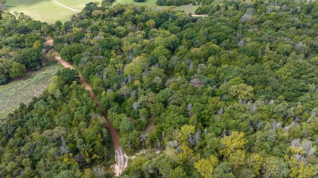 0000 Dungens Mills Road, Columbus, TX 78934