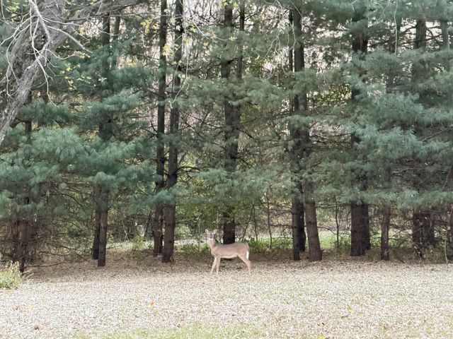 240 E 625 S, North Judson, IN 46366