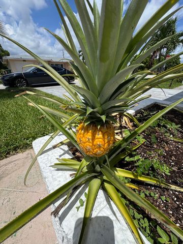 4717 NW 49TH Place, Tamarac, FL 33319
