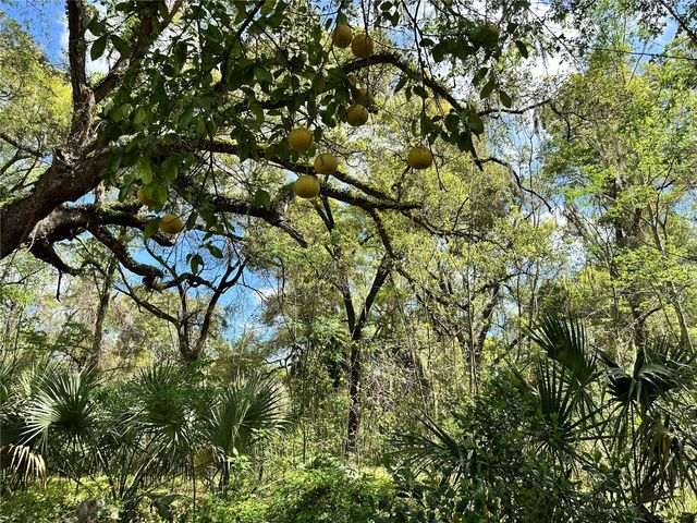 tbd SW 5TH LANE, Ocala, FL 34481
