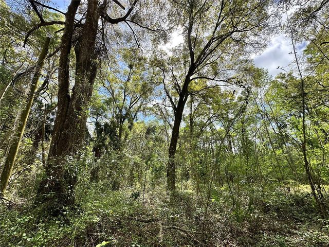 tbd SW 5TH LANE, Ocala, FL 34481