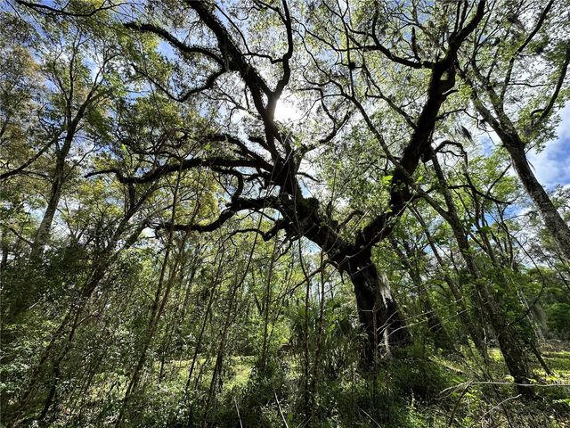 tbd SW 5TH LANE, Ocala, FL 34481