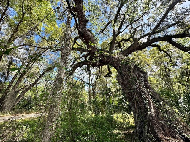 tbd SW 5TH LANE, Ocala, FL 34481