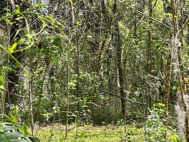 tbd SW 5TH LANE, Ocala, FL 34481