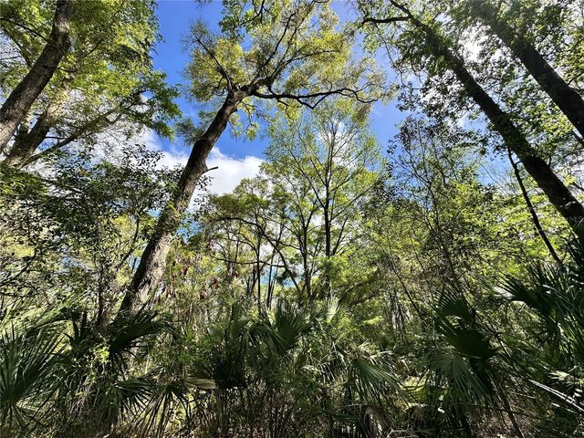 tbd SW 5TH LANE, Ocala, FL 34481