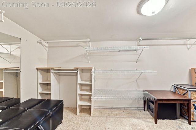 5007 Willard Road, Vienna Charter Township, MI 48415