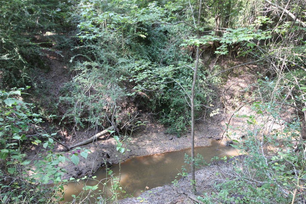 0 CR 347, Palestine, TX 75802