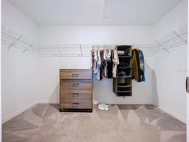 5420 LESLIE CANYON DRIVE, Wimauma, FL 33598