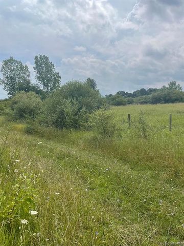 0000 Brauer Road, Oxford, MI 48371
