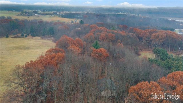 16550 Tyrone Avenue, Tyrone Twp, MI 49330