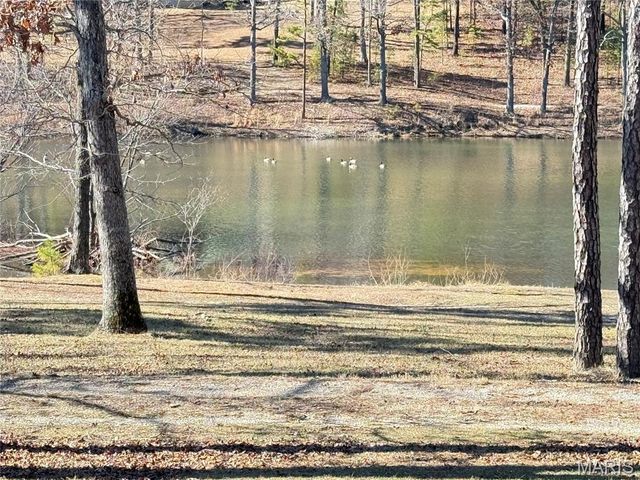 10745 Ridgely Road, Potosi, MO 63664