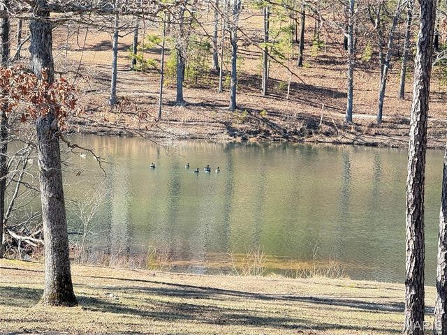 10745 Ridgely Road, Potosi, MO 63664