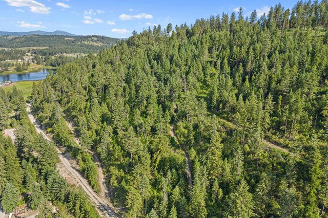 585 White Meadow Way, Colville, WA 99114