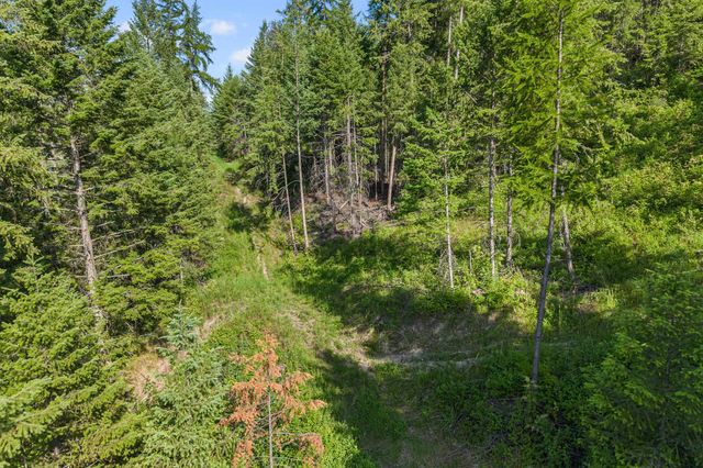 585 White Meadow Way, Colville, WA 99114