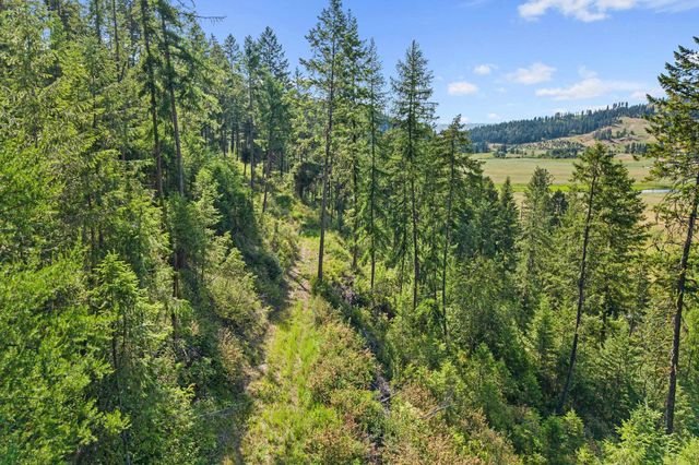 585 White Meadow Way, Colville, WA 99114