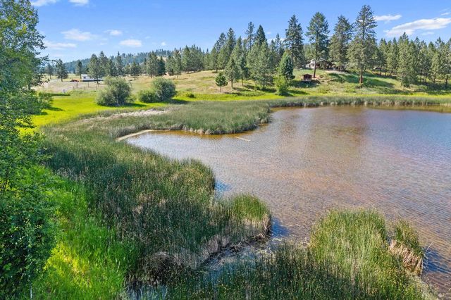 585 White Meadow Way, Colville, WA 99114