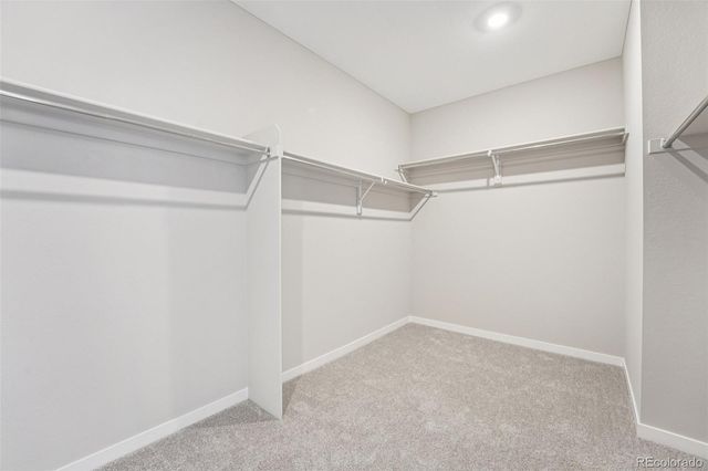 13823 Daffodil Way, Parker, CO 80134