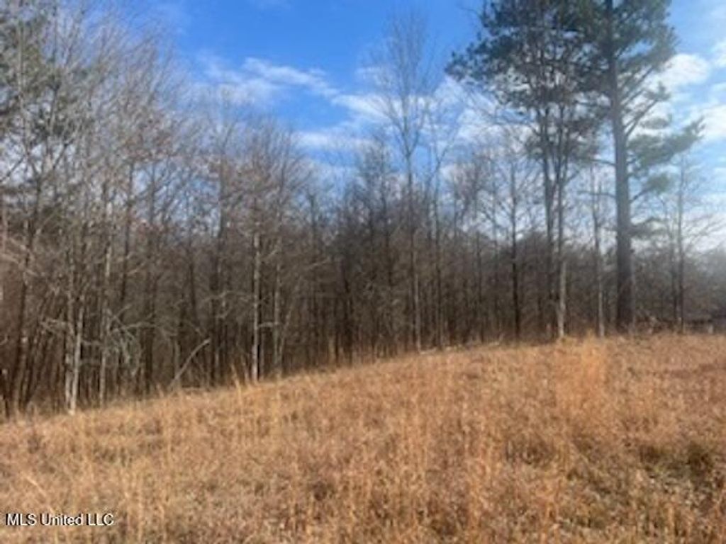 0 S Red Banks Road, Byhalia, MS 38611 — exterior