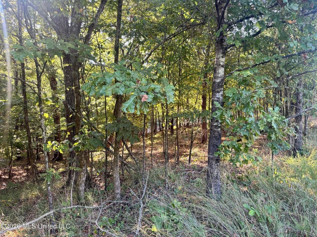 0 S Red Banks Road, Byhalia, MS 38611 — photo 2