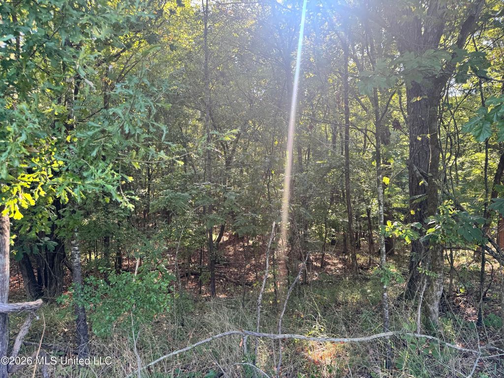 0 S Red Banks Road, Byhalia, MS 38611 — photo 3