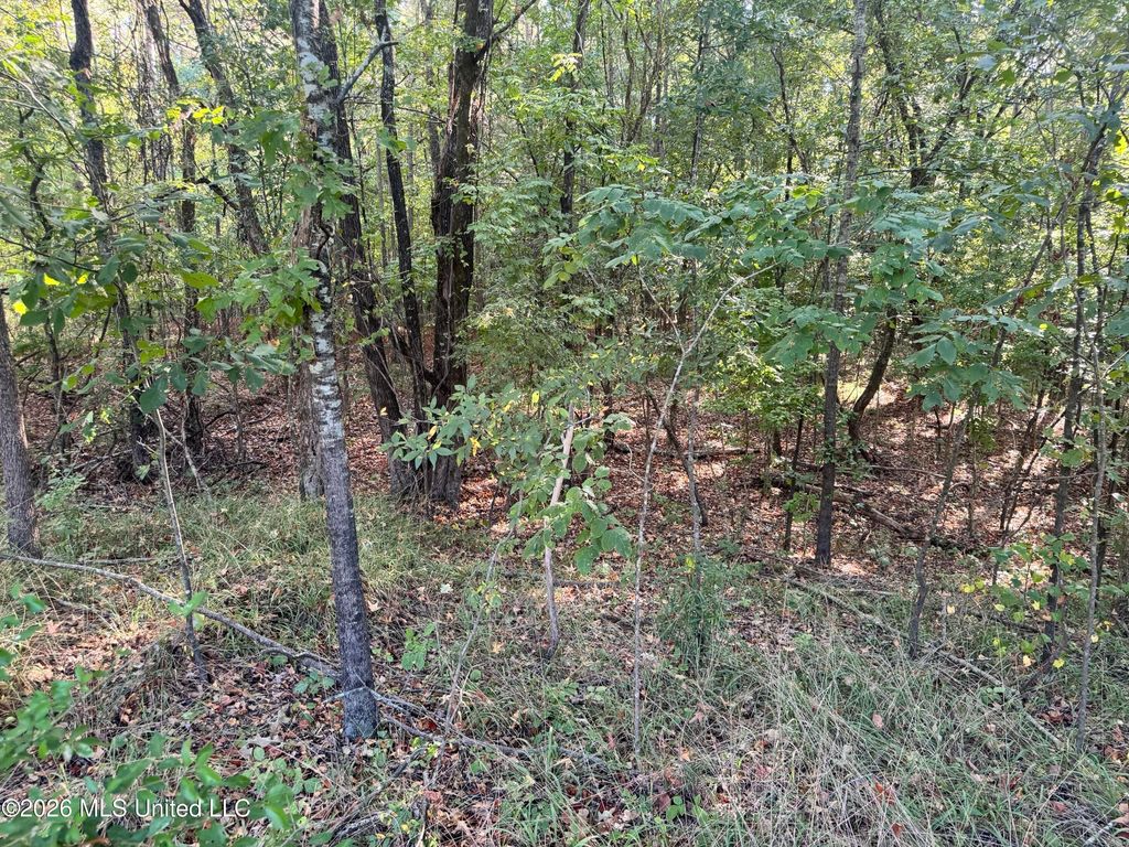 0 S Red Banks Road, Byhalia, MS 38611 — photo 4