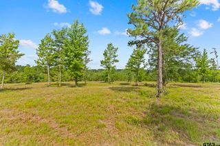 TBD County Road 4112 Lot 3, Lindale, TX 75771