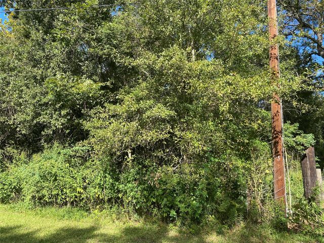 2653 County Road 348, Brazoria, TX 77422