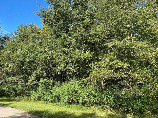 2653 County Road 348, Brazoria, TX 77422