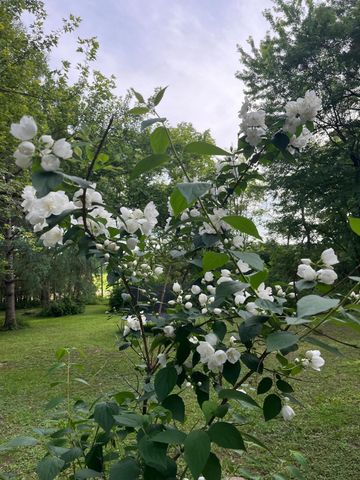 4676 Ozark Avenue S, Afton, MN 55001