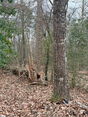 Lot A Grey Fox Lane, Seneca, SC 29678