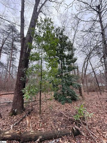 Lot A Grey Fox Lane, Seneca, SC 29678