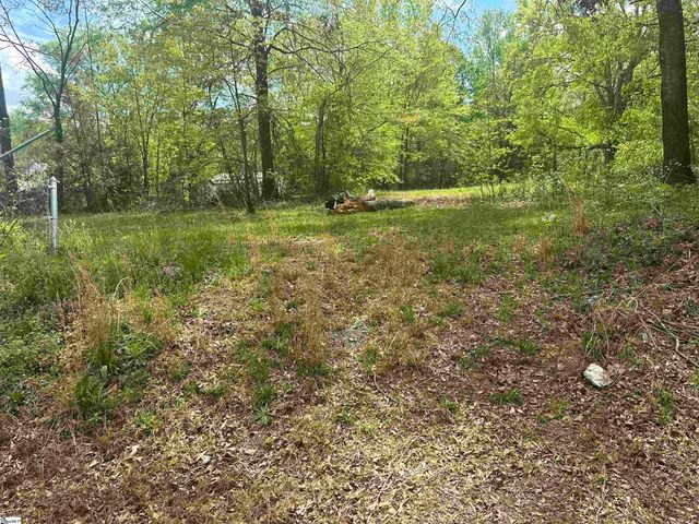 101 W Bluford Street, Clinton, SC 29325