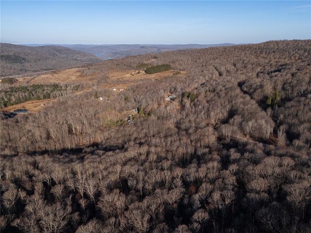 1971 Barkaboom Road, Andes, NY 13731