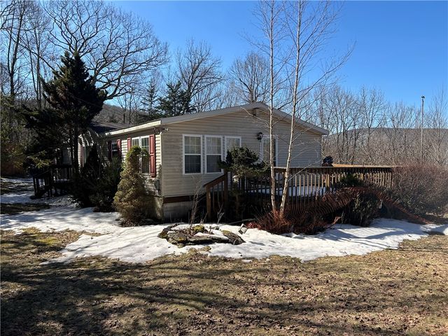 1971 Barkaboom Road, Andes, NY 13731