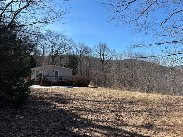 1971 Barkaboom Road, Andes, NY 13731